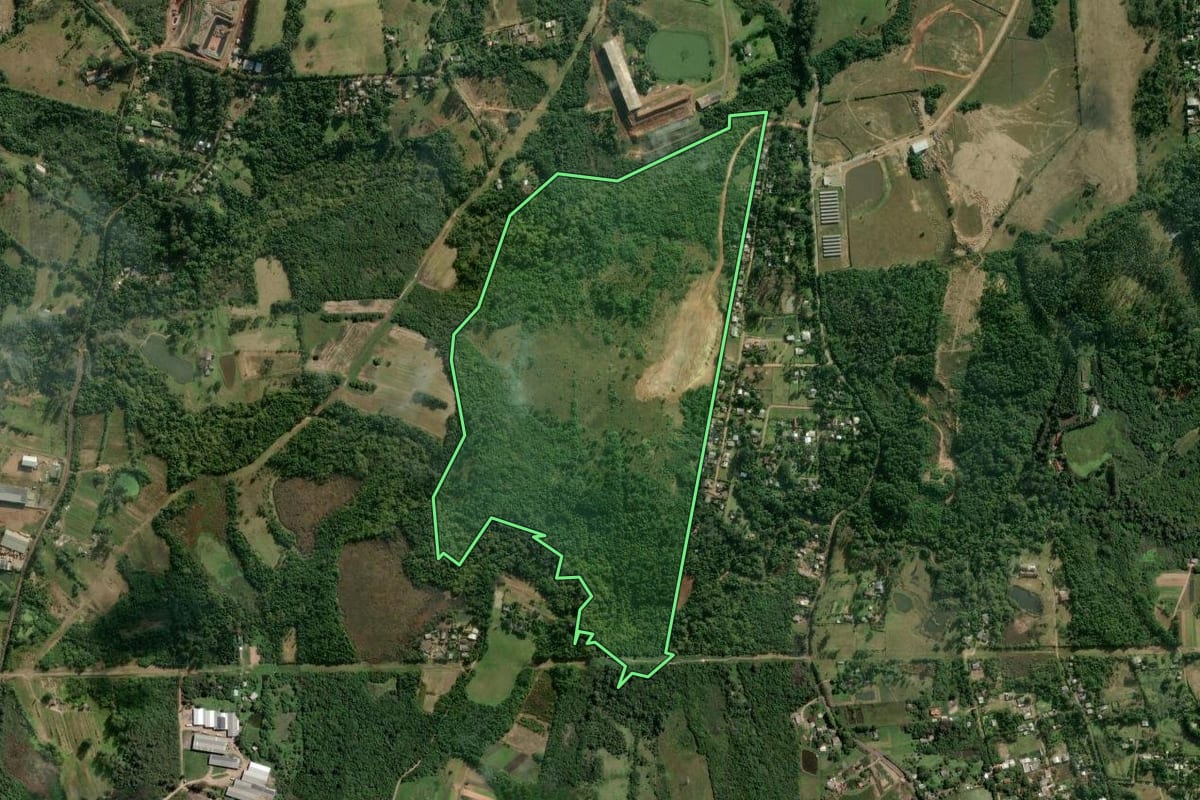 Imagem de satélite do imóvel rural em Gravataí (RS), com o contorno declarado no CAR desenhado por cima.