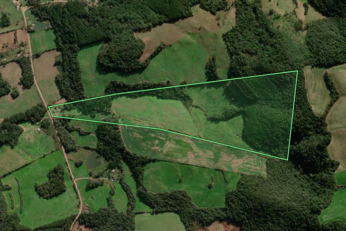 Imagem de satélite do imóvel rural em Guabiju (RS), com o contorno declarado no CAR desenhado por cima.