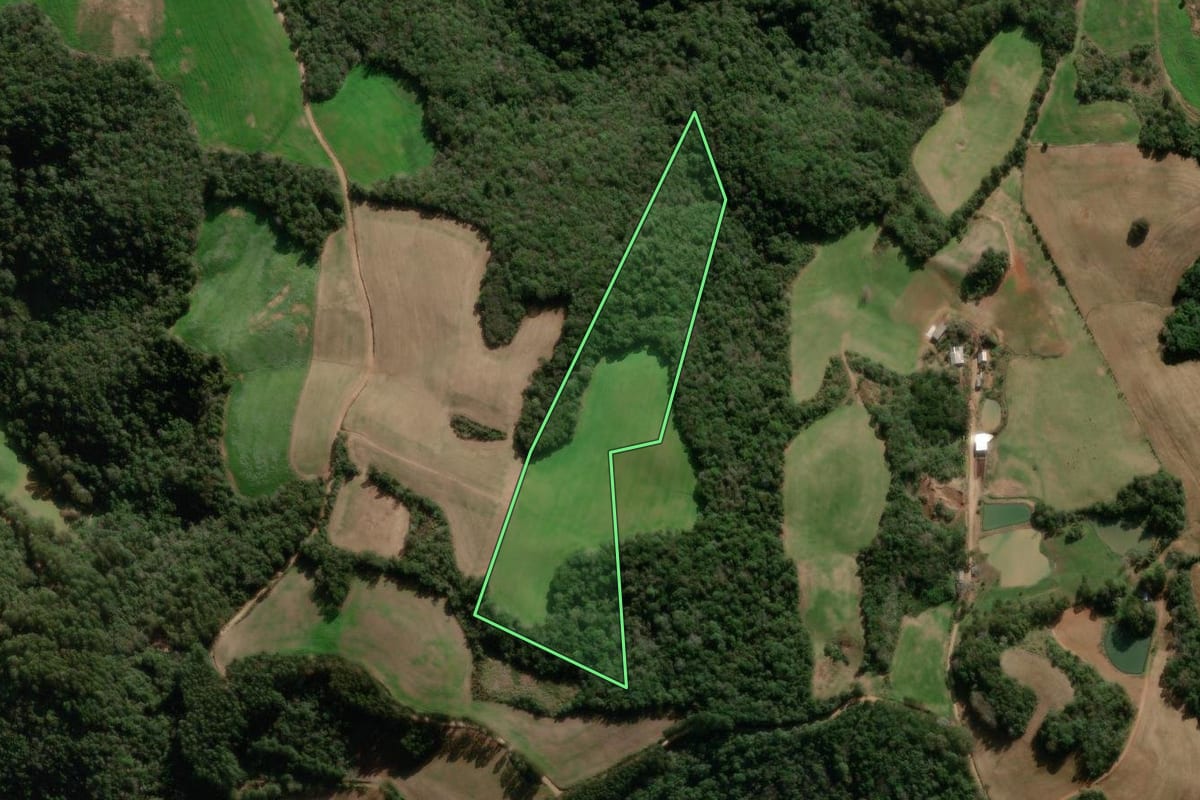 Imagem de satélite do imóvel rural em Guabiju (RS), com o contorno declarado no CAR desenhado por cima.