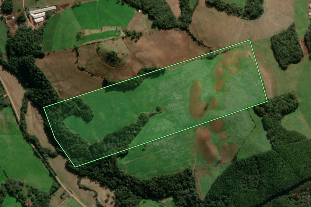 Imagem de satélite do imóvel rural em Guabiju (RS), com o contorno declarado no CAR desenhado por cima.
