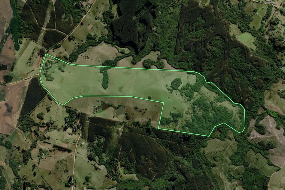 Imagem de satélite do imóvel rural em Guaíba (RS), com o contorno declarado no CAR desenhado por cima.