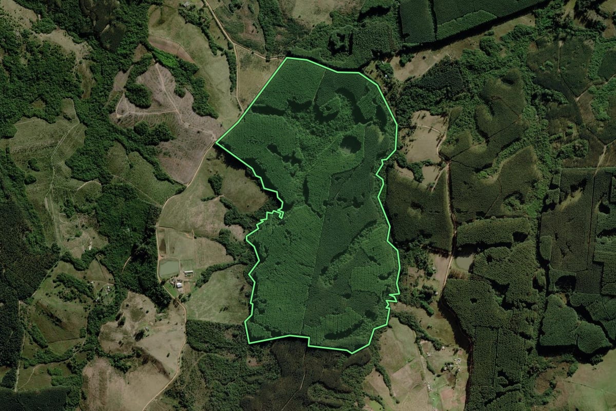 Imagem de satélite do imóvel rural em Guaíba (RS), com o contorno declarado no CAR desenhado por cima.