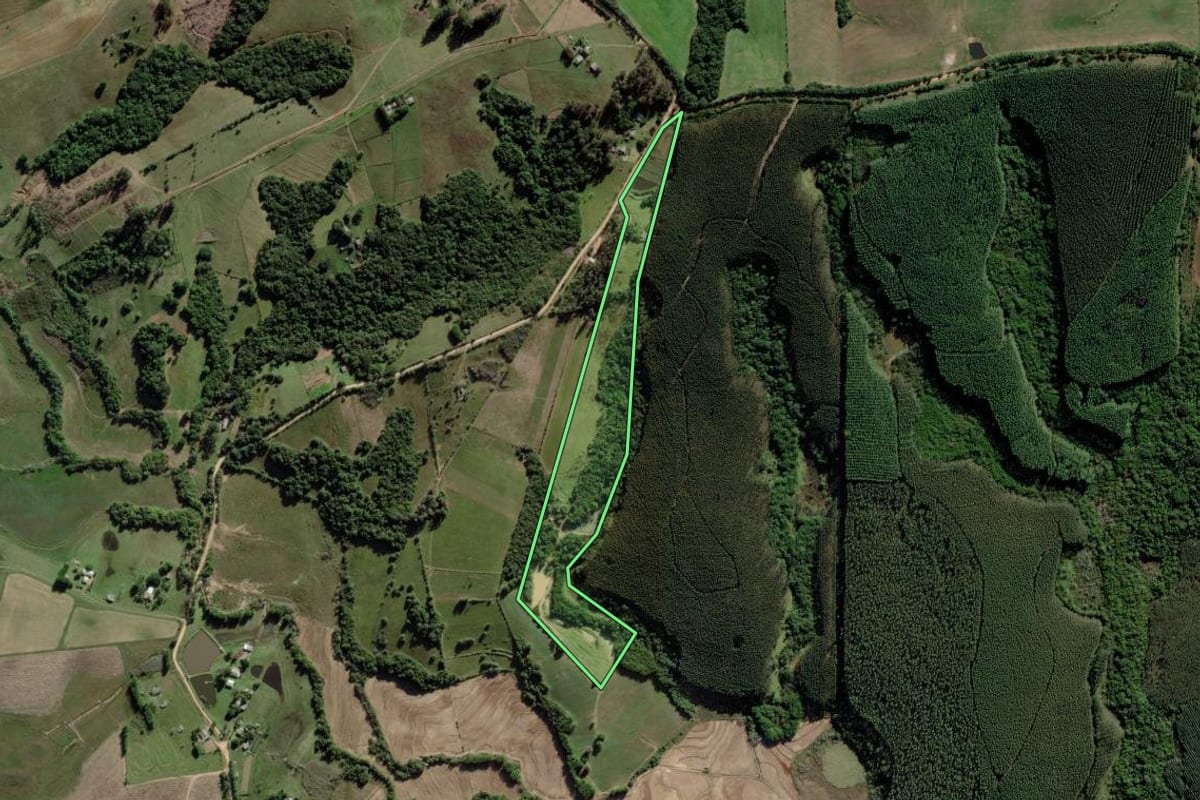 Imagem de satélite do imóvel rural em Guaíba (RS), com o contorno declarado no CAR desenhado por cima.
