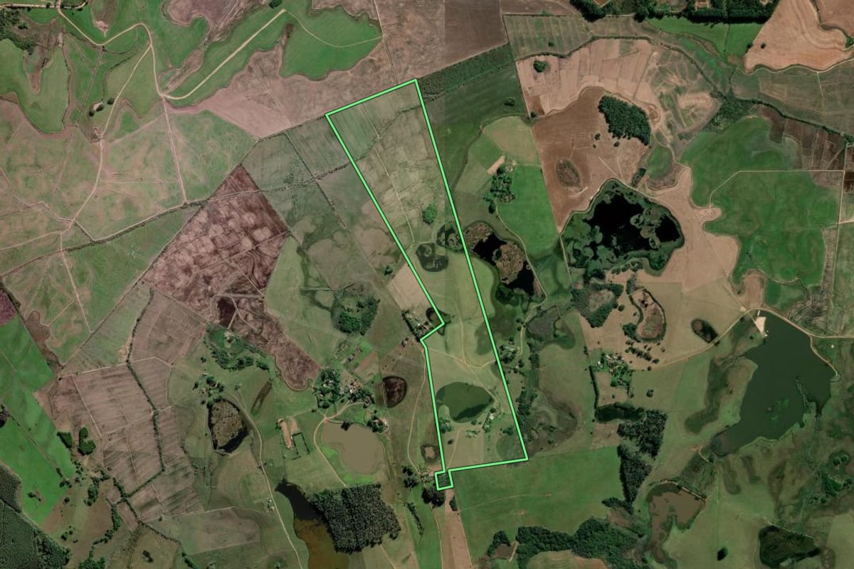 Imagem de satélite do imóvel rural em Guaíba (RS), com o contorno declarado no CAR desenhado por cima.
