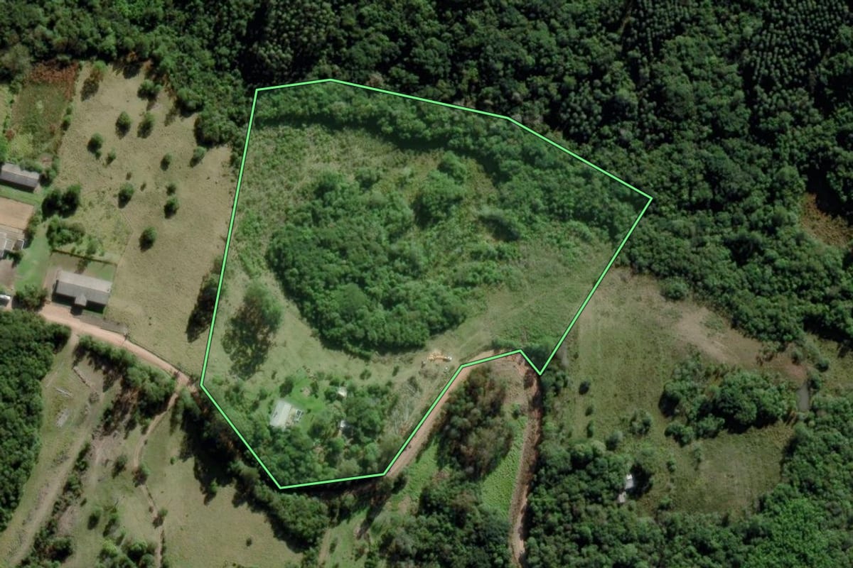 Imagem de satélite do imóvel rural em Guaíba (RS), com o contorno declarado no CAR desenhado por cima.