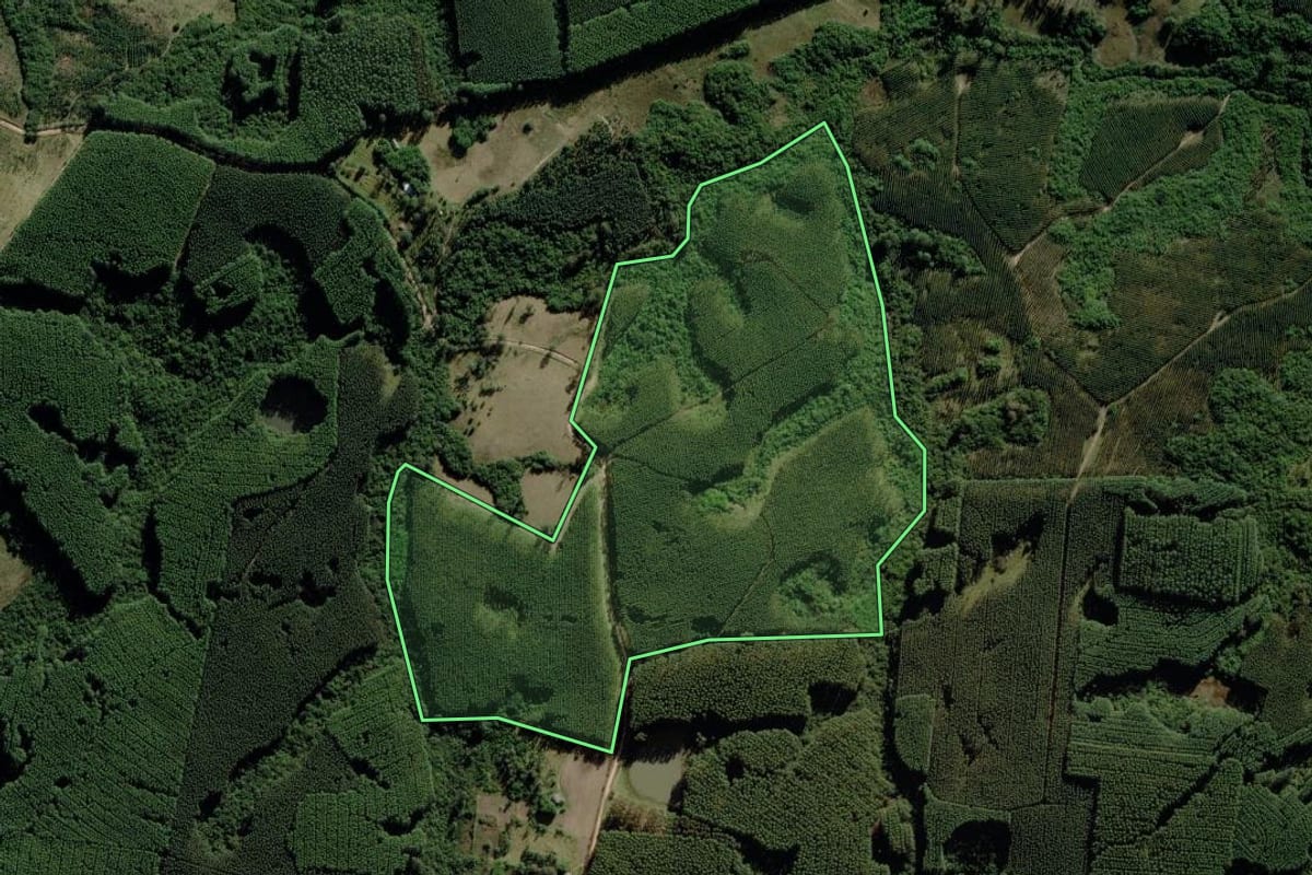 Imagem de satélite do imóvel rural em Guaíba (RS), com o contorno declarado no CAR desenhado por cima.