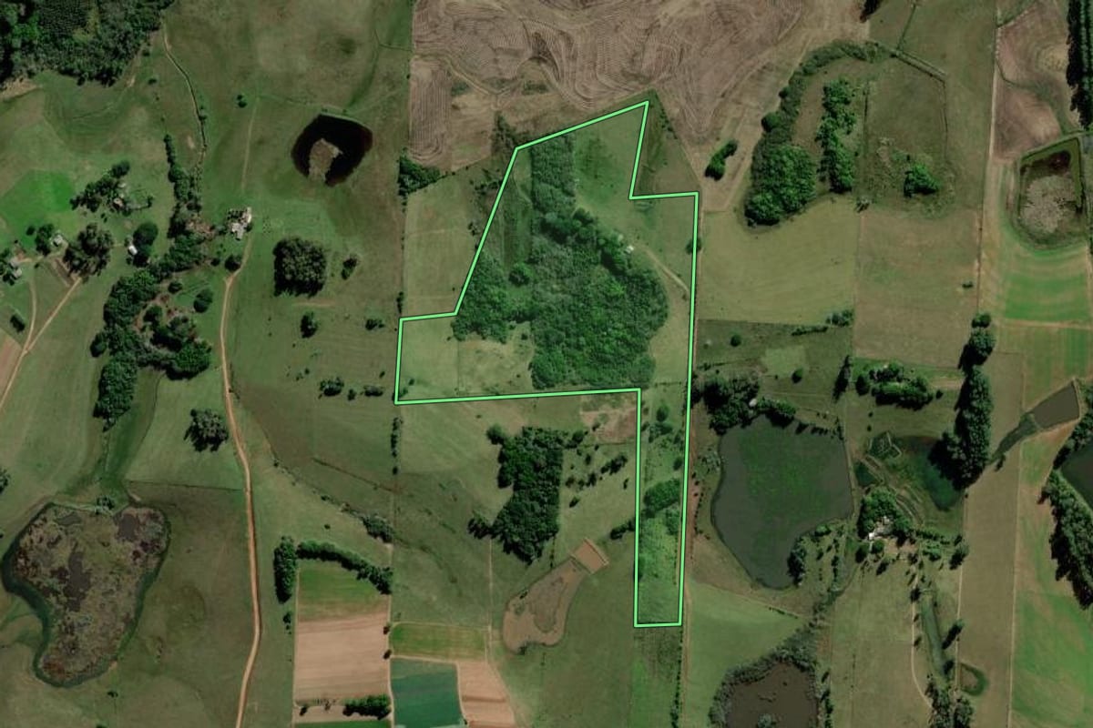 Imagem de satélite do imóvel rural em Guaíba (RS), com o contorno declarado no CAR desenhado por cima.