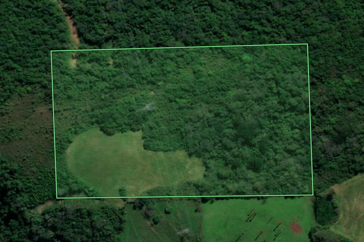 Imagem de satélite do imóvel rural em Guaporé (RS), com o contorno declarado no CAR desenhado por cima.