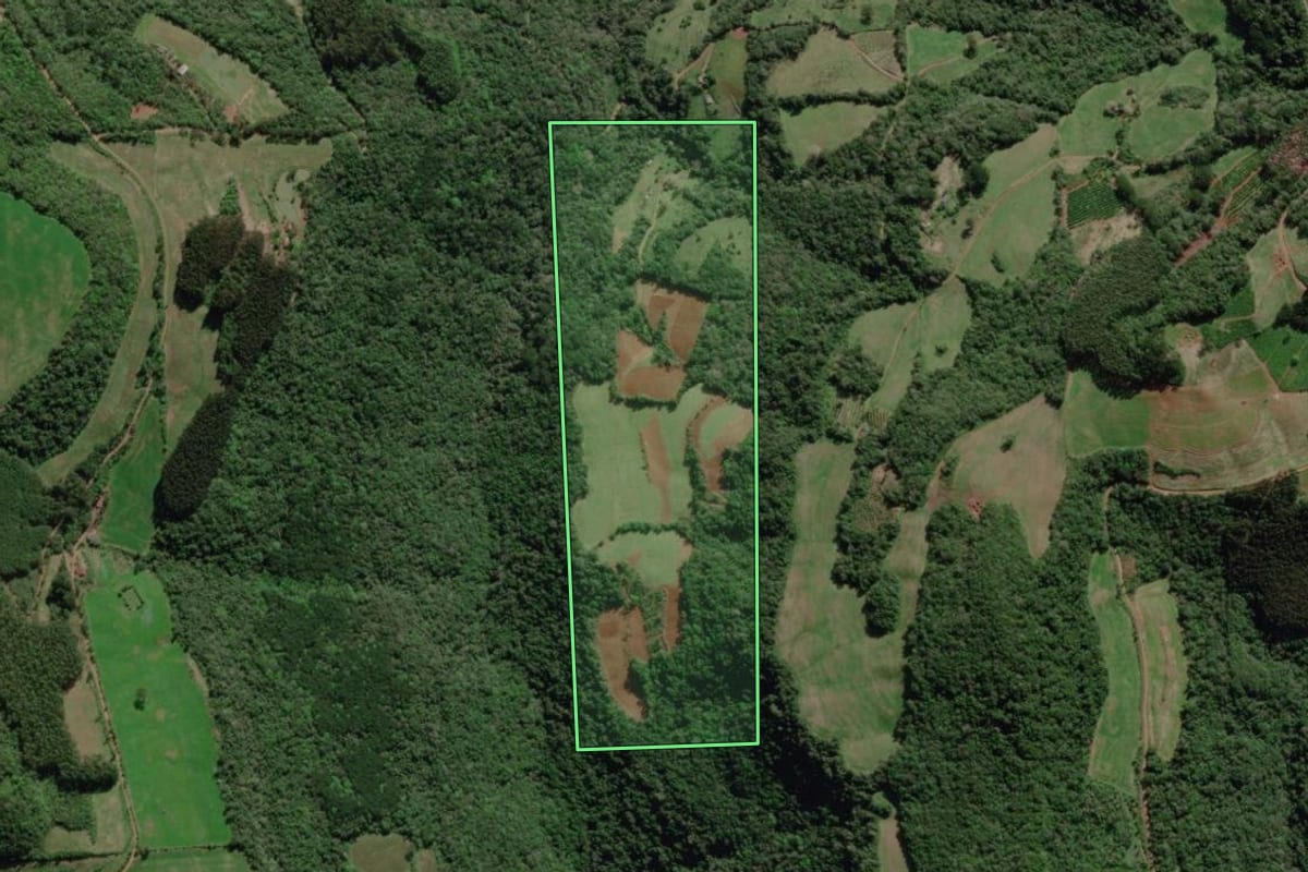 Imagem de satélite do imóvel rural em Guaporé (RS), com o contorno declarado no CAR desenhado por cima.