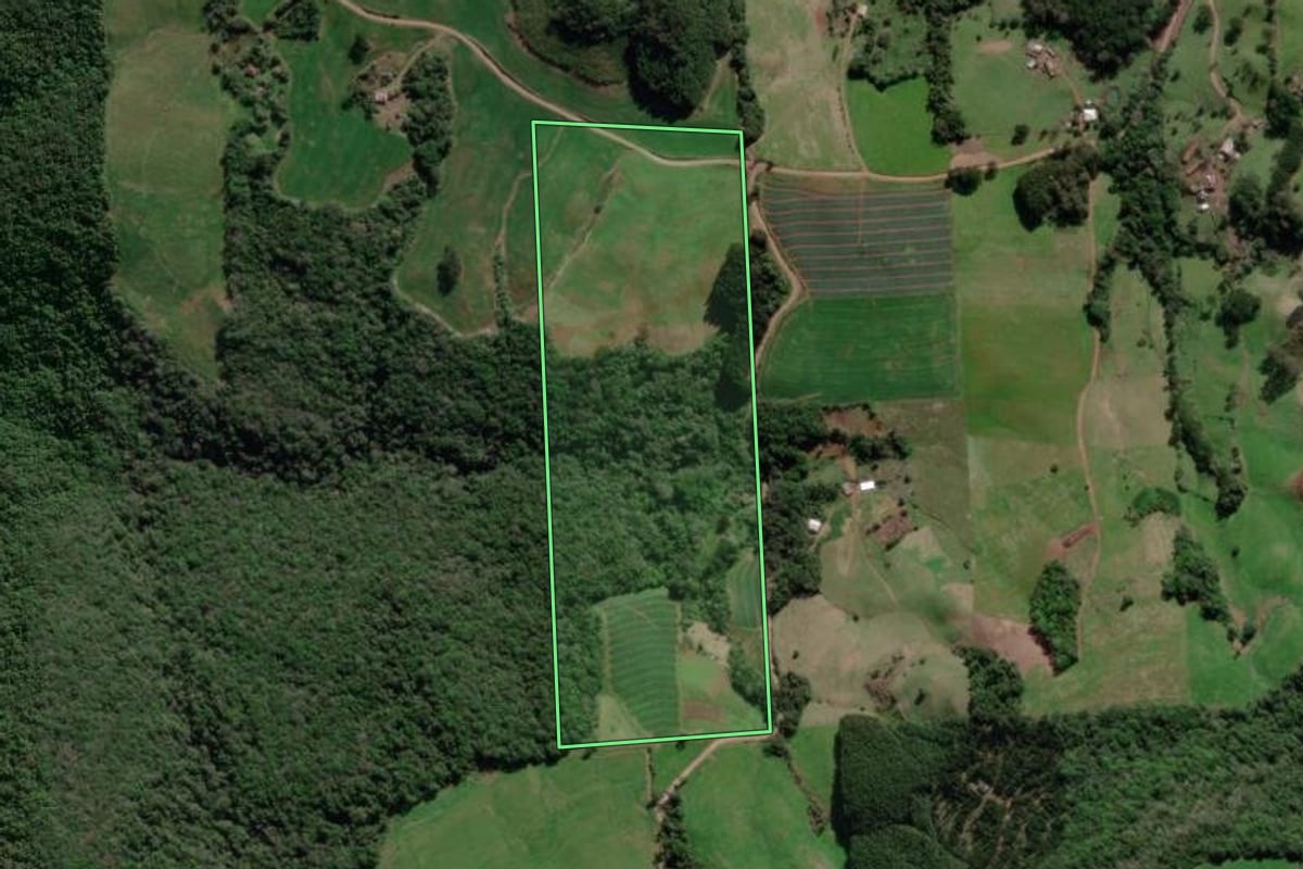 Imagem de satélite do imóvel rural em Guaporé (RS), com o contorno declarado no CAR desenhado por cima.