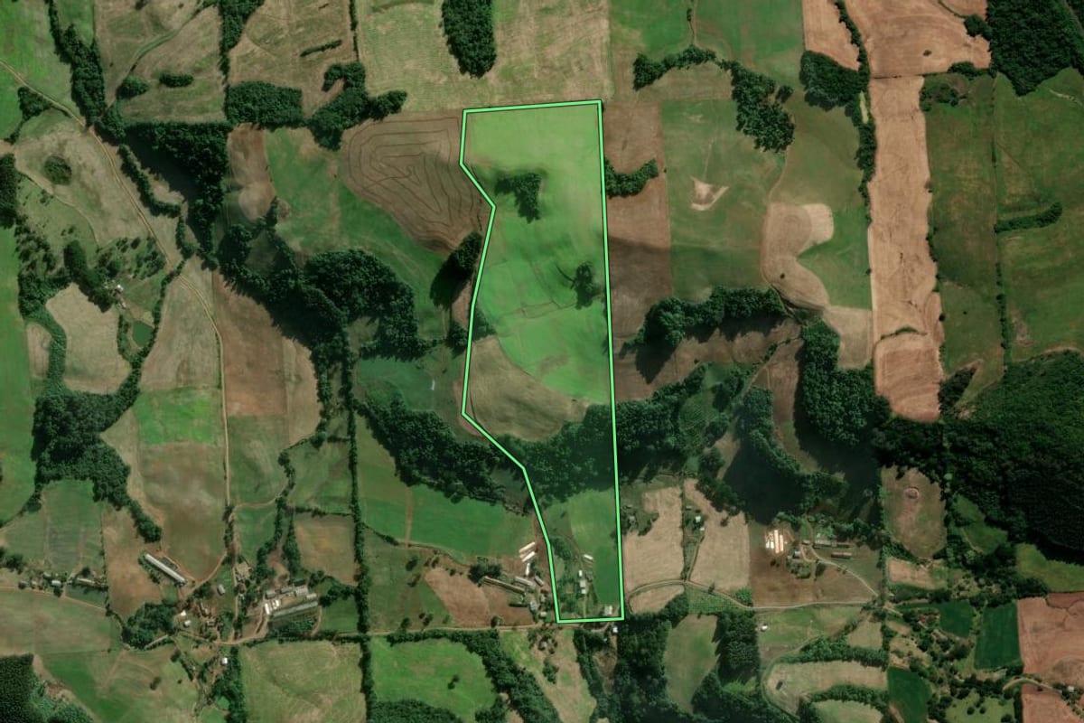 Imagem de satélite do imóvel rural em Guaporé (RS), com o contorno declarado no CAR desenhado por cima.