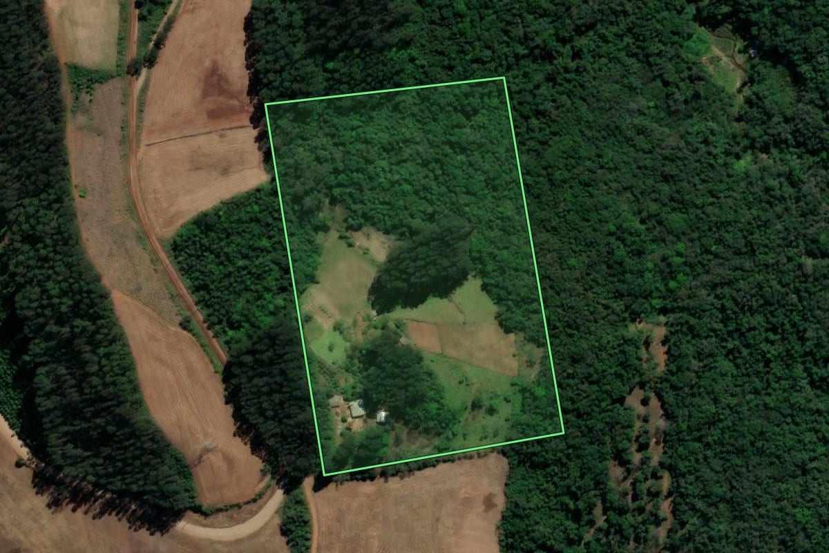 Imagem de satélite do imóvel rural em Guaporé (RS), com o contorno declarado no CAR desenhado por cima.