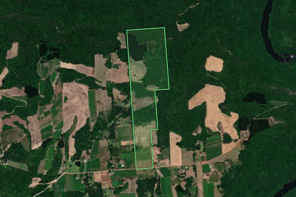 Imagem de satélite do imóvel rural em Guaporé (RS), com o contorno declarado no CAR desenhado por cima.