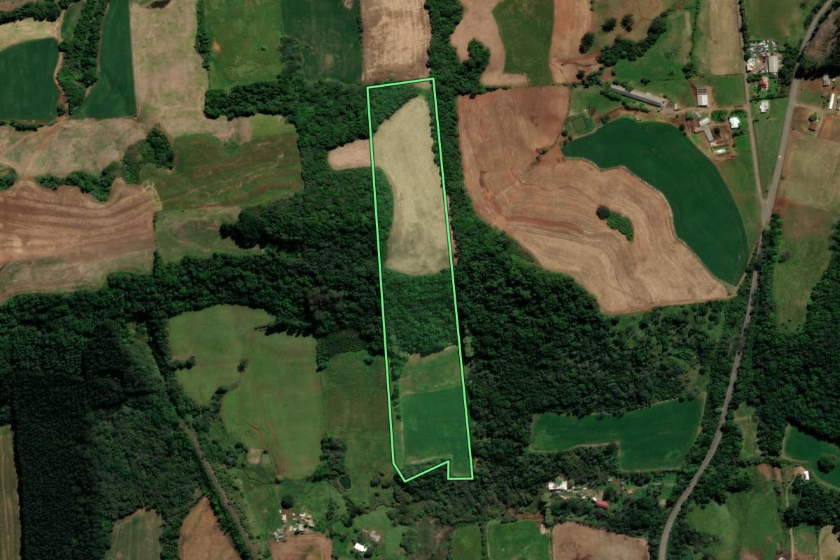 Imagem de satélite do imóvel rural em Guaporé (RS), com o contorno declarado no CAR desenhado por cima.