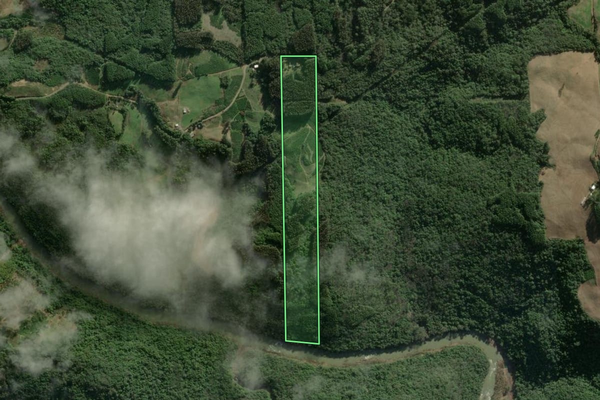 Imagem de satélite do imóvel rural em Guaporé (RS), com o contorno declarado no CAR desenhado por cima.
