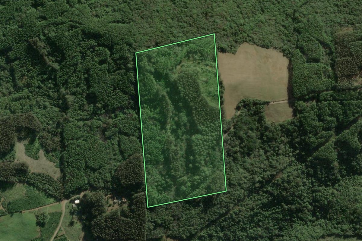 Imagem de satélite do imóvel rural em Guaporé (RS), com o contorno declarado no CAR desenhado por cima.
