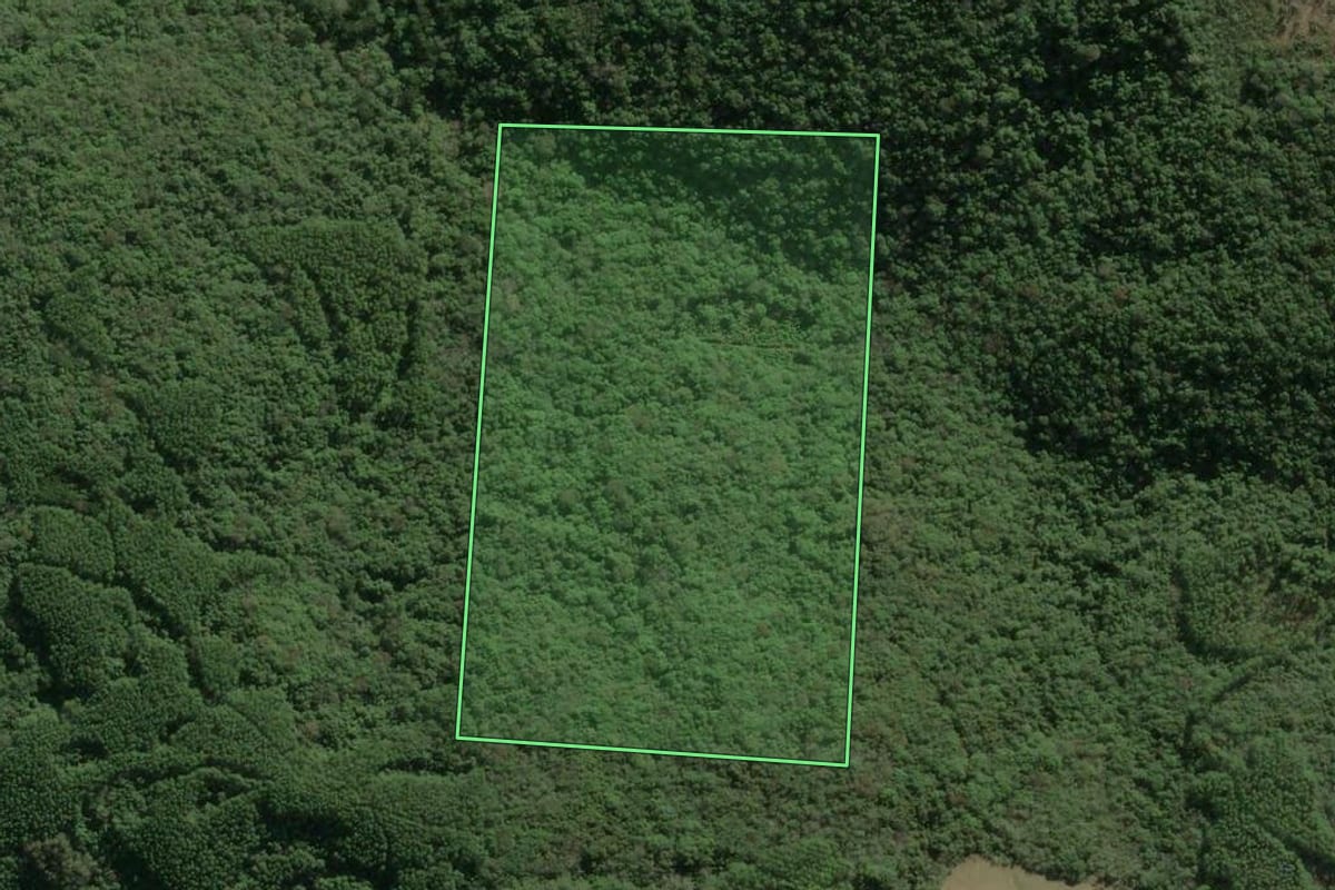 Imagem de satélite do imóvel rural em Guaporé (RS), com o contorno declarado no CAR desenhado por cima.