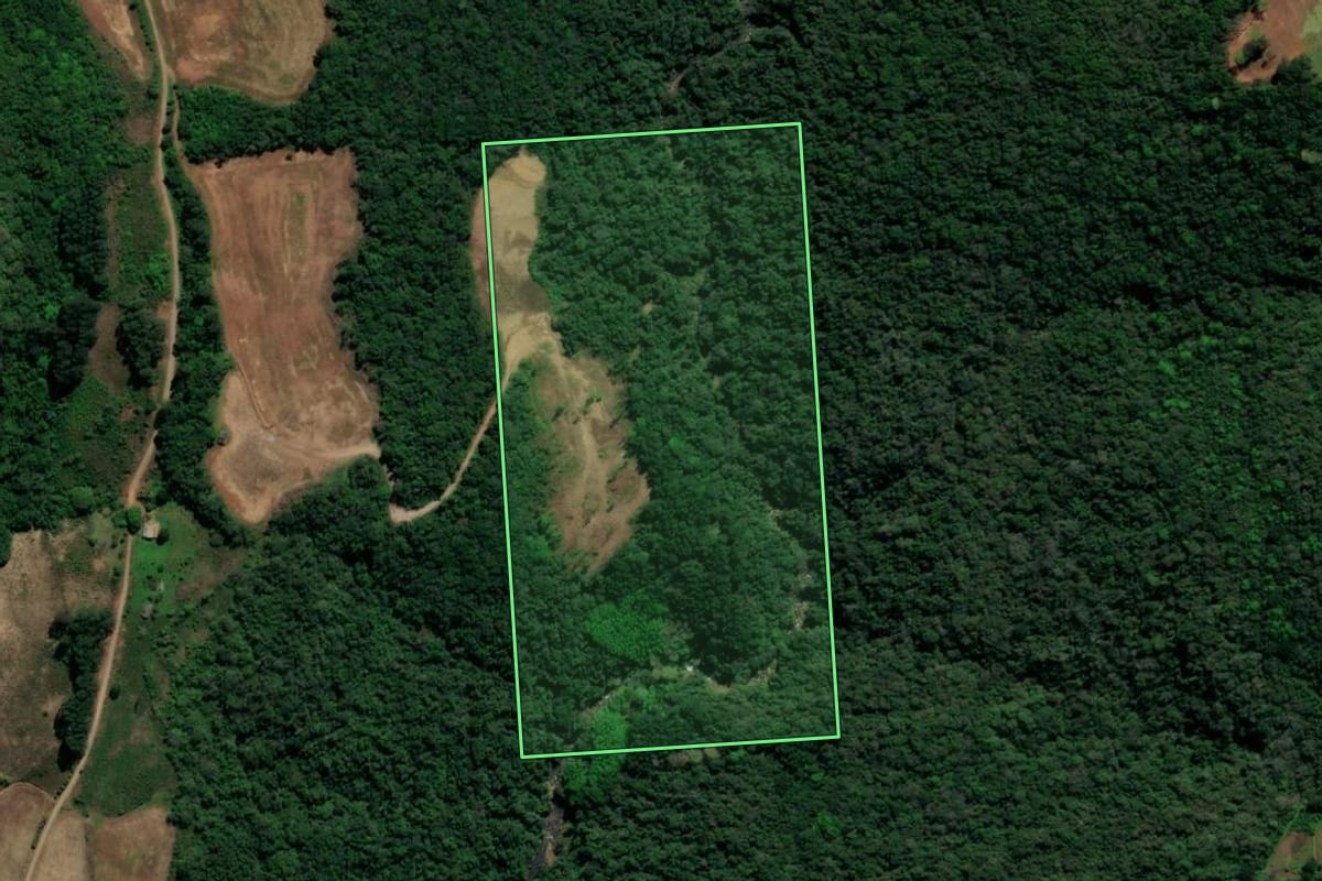 Imagem de satélite do imóvel rural em Guaporé (RS), com o contorno declarado no CAR desenhado por cima.
