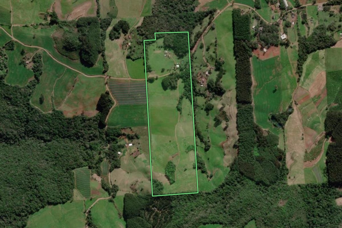 Imagem de satélite do imóvel rural em Guaporé (RS), com o contorno declarado no CAR desenhado por cima.