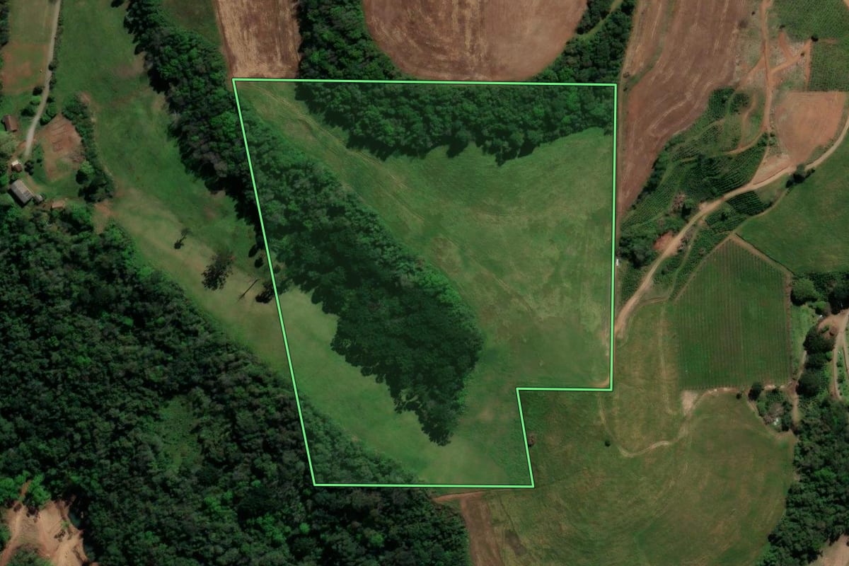 Imagem de satélite do imóvel rural em Dois Lajeados (RS), com o contorno declarado no CAR desenhado por cima.