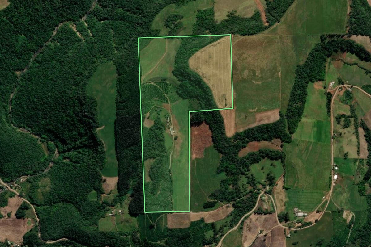 Imagem de satélite do imóvel rural em Guaporé (RS), com o contorno declarado no CAR desenhado por cima.