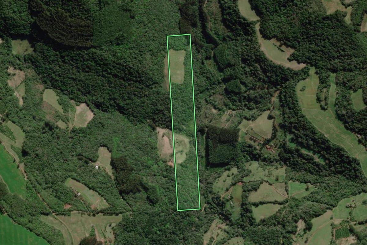 Imagem de satélite do imóvel rural em Guaporé (RS), com o contorno declarado no CAR desenhado por cima.
