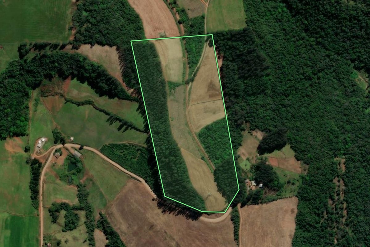 Imagem de satélite do imóvel rural em Guaporé (RS), com o contorno declarado no CAR desenhado por cima.