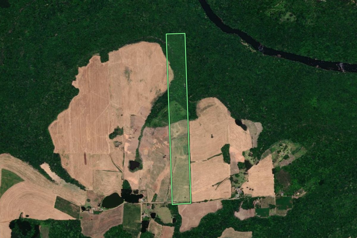 Imagem de satélite do imóvel rural em Guaporé (RS), com o contorno declarado no CAR desenhado por cima.