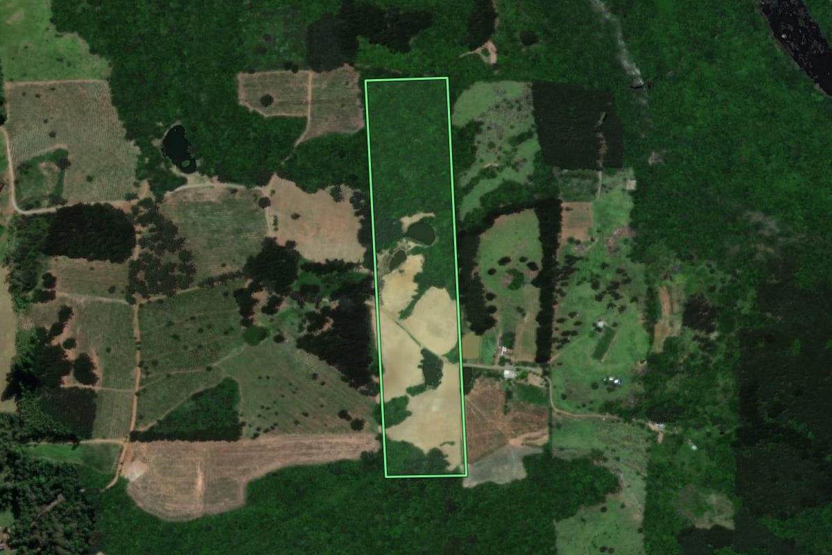 Imagem de satélite do imóvel rural em Guaporé (RS), com o contorno declarado no CAR desenhado por cima.