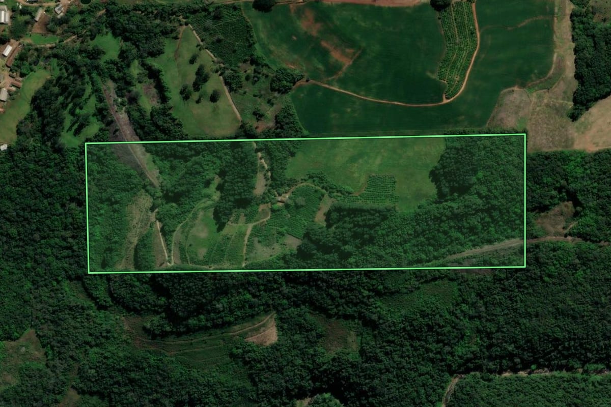 Imagem de satélite do imóvel rural em Guaporé (RS), com o contorno declarado no CAR desenhado por cima.