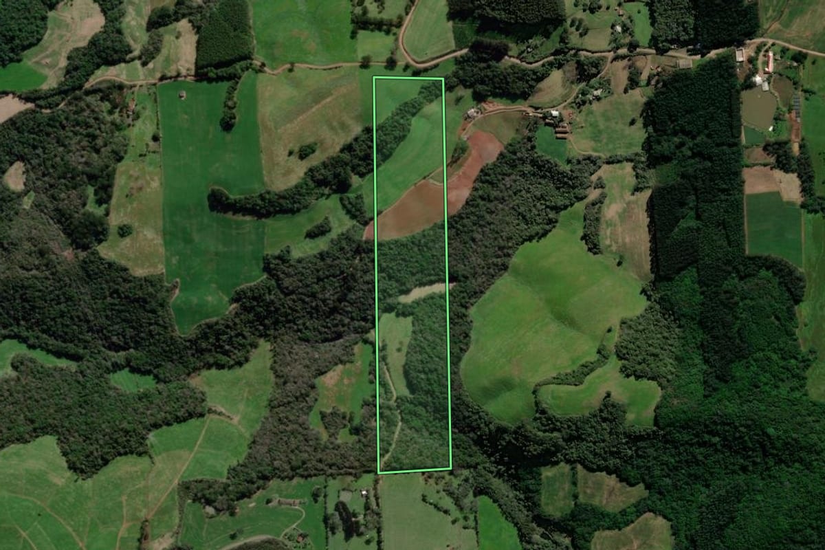 Imagem de satélite do imóvel rural em Guaporé (RS), com o contorno declarado no CAR desenhado por cima.