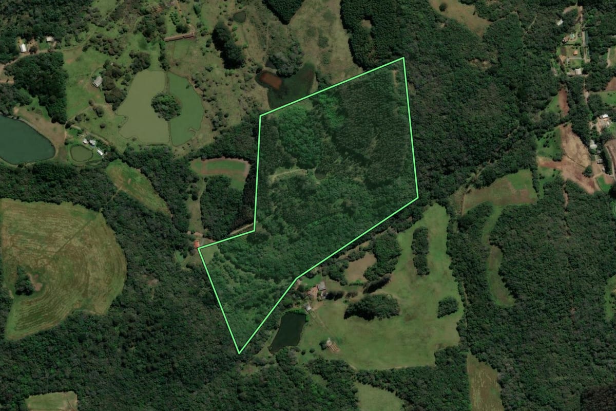 Imagem de satélite do imóvel rural em Guaporé (RS), com o contorno declarado no CAR desenhado por cima.