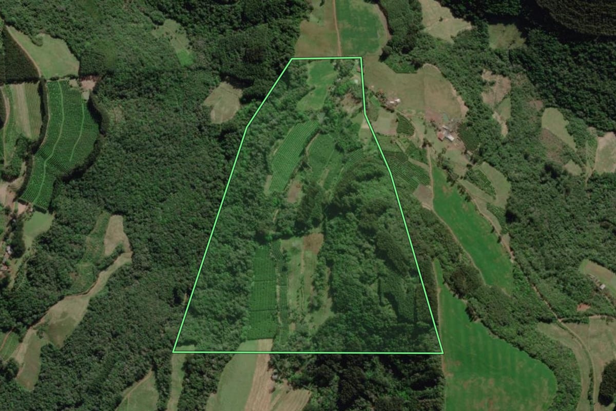 Imagem de satélite do imóvel rural em Guaporé (RS), com o contorno declarado no CAR desenhado por cima.