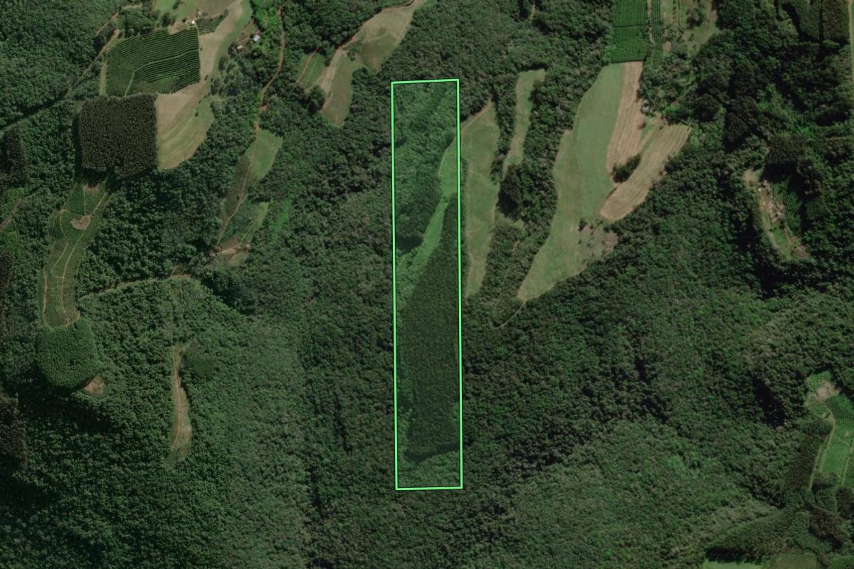 Imagem de satélite do imóvel rural em Guaporé (RS), com o contorno declarado no CAR desenhado por cima.