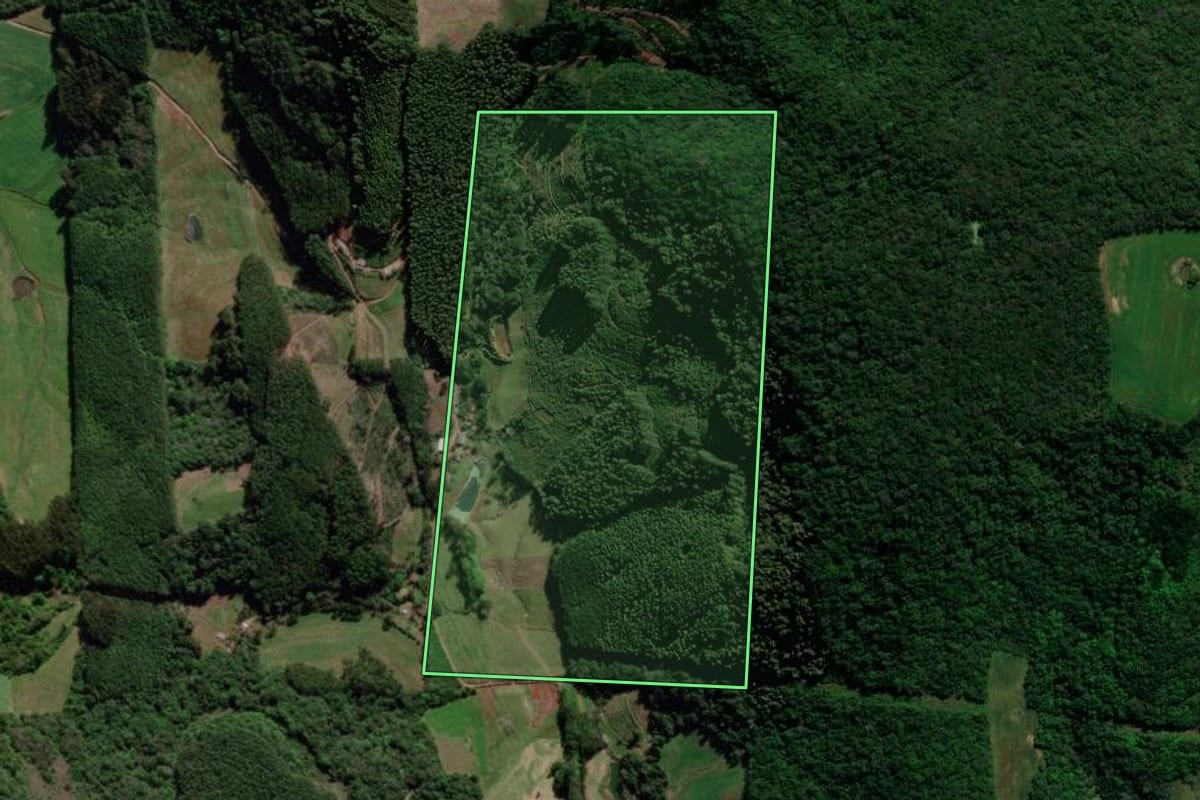 Imagem de satélite do imóvel rural em Guaporé (RS), com o contorno declarado no CAR desenhado por cima.
