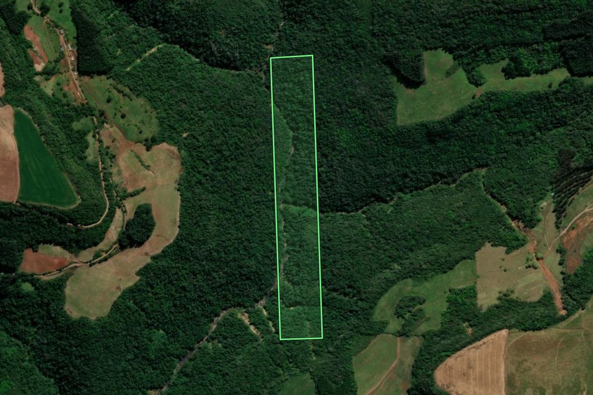 Imagem de satélite do imóvel rural em Guaporé (RS), com o contorno declarado no CAR desenhado por cima.