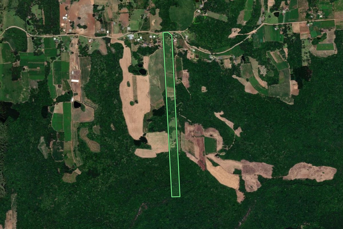 Imagem de satélite do imóvel rural em Guaporé (RS), com o contorno declarado no CAR desenhado por cima.