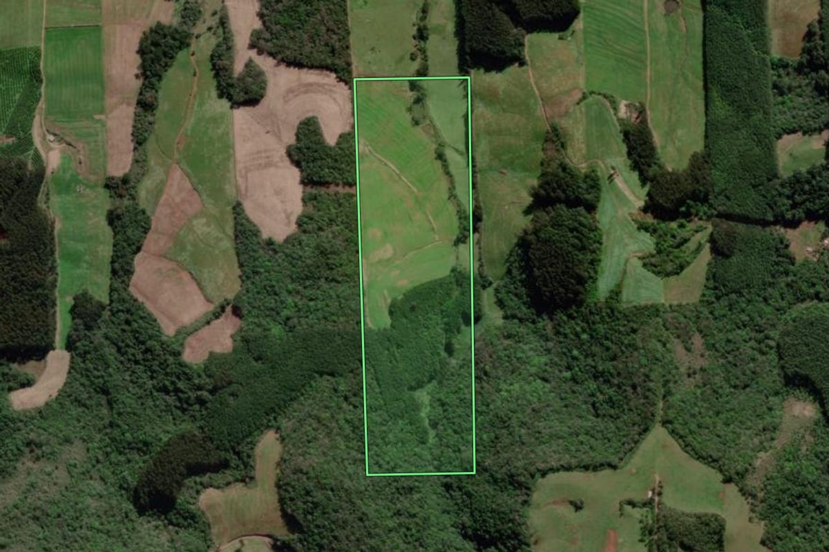 Imagem de satélite do imóvel rural em Guaporé (RS), com o contorno declarado no CAR desenhado por cima.