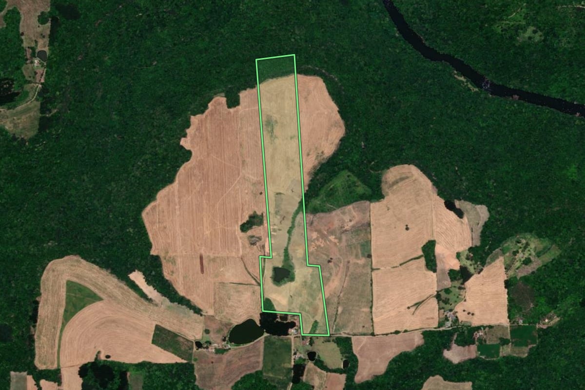Imagem de satélite do imóvel rural em Guaporé (RS), com o contorno declarado no CAR desenhado por cima.