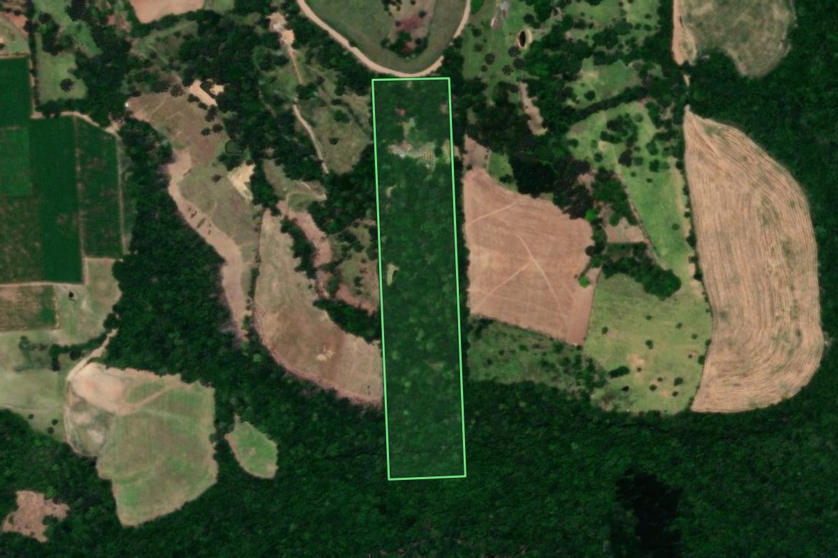Imagem de satélite do imóvel rural em Guaporé (RS), com o contorno declarado no CAR desenhado por cima.