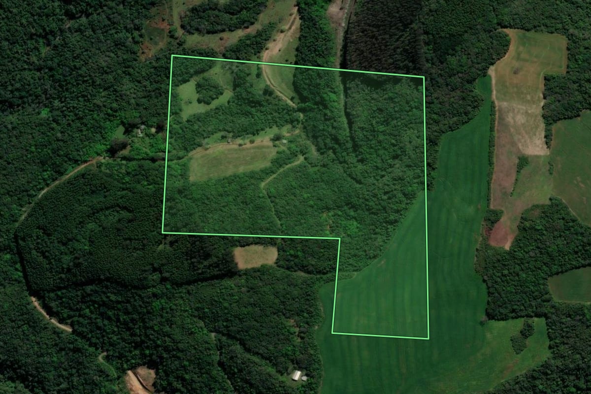 Imagem de satélite do imóvel rural em Guaporé (RS), com o contorno declarado no CAR desenhado por cima.