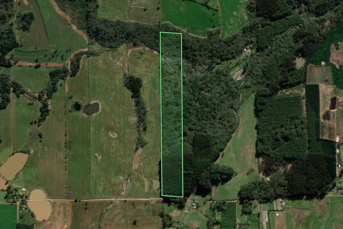 Imagem de satélite do imóvel rural em Guaporé (RS), com o contorno declarado no CAR desenhado por cima.
