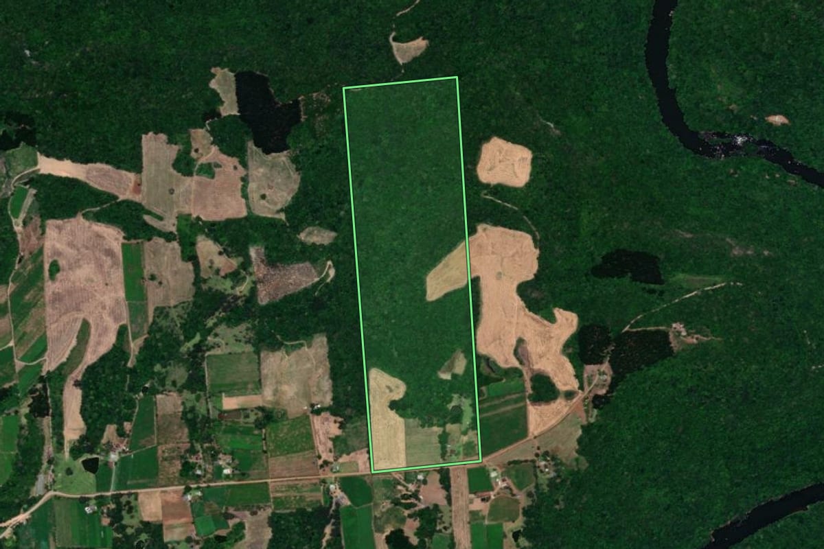 Imagem de satélite do imóvel rural em Guaporé (RS), com o contorno declarado no CAR desenhado por cima.