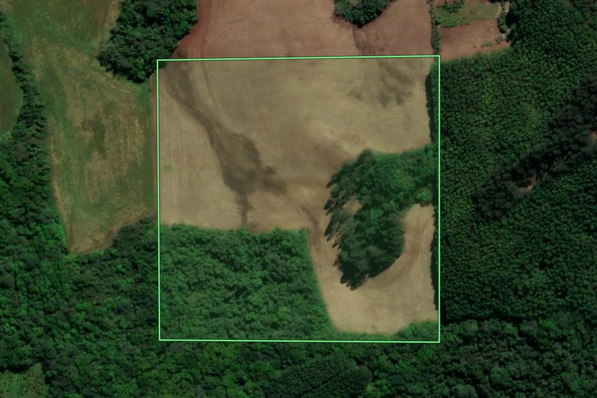 Imagem de satélite do imóvel rural em Guaporé (RS), com o contorno declarado no CAR desenhado por cima.