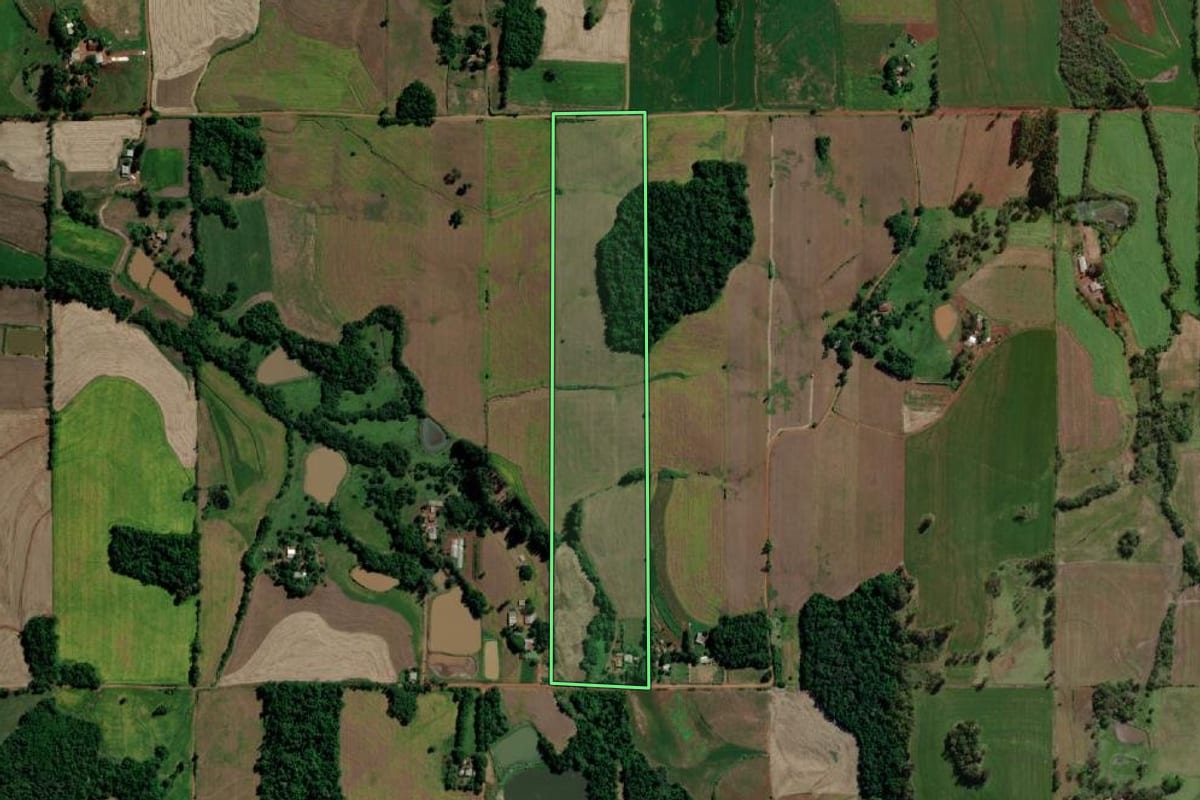 Imagem de satélite do imóvel rural em Guarani das Missões (RS), com o contorno declarado no CAR desenhado por cima.