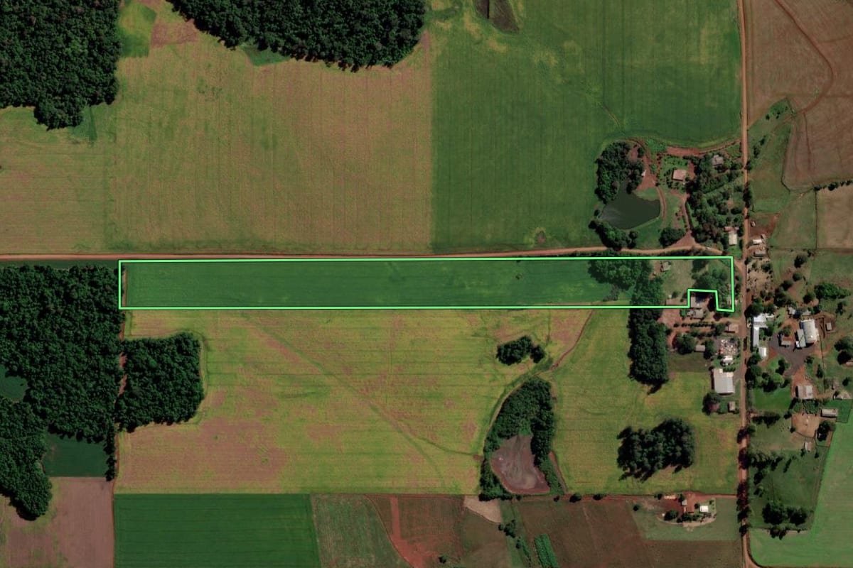Imagem de satélite do imóvel rural em Guarani das Missões (RS), com o contorno declarado no CAR desenhado por cima.