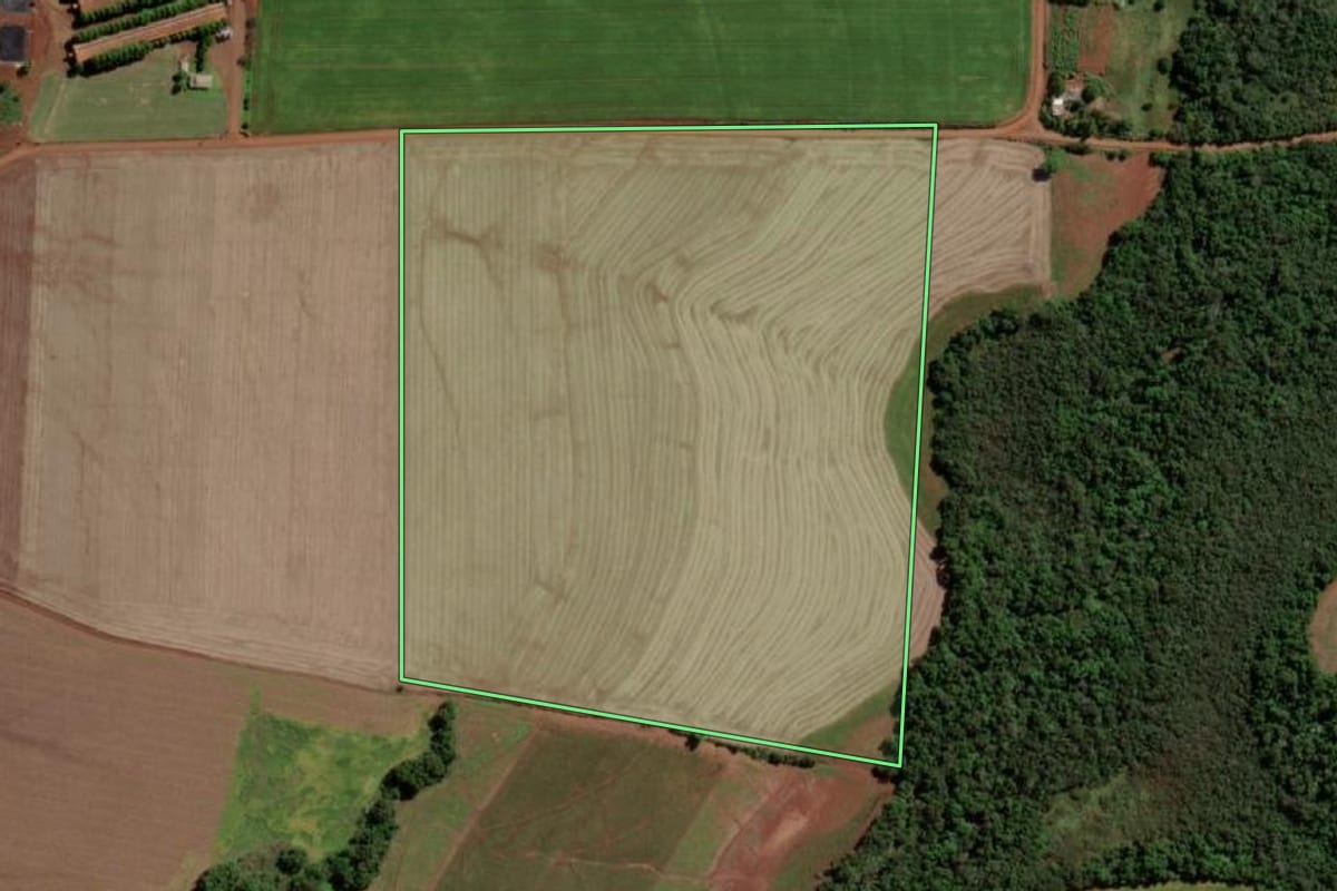 Imagem de satélite do imóvel rural em Guarani das Missões (RS), com o contorno declarado no CAR desenhado por cima.