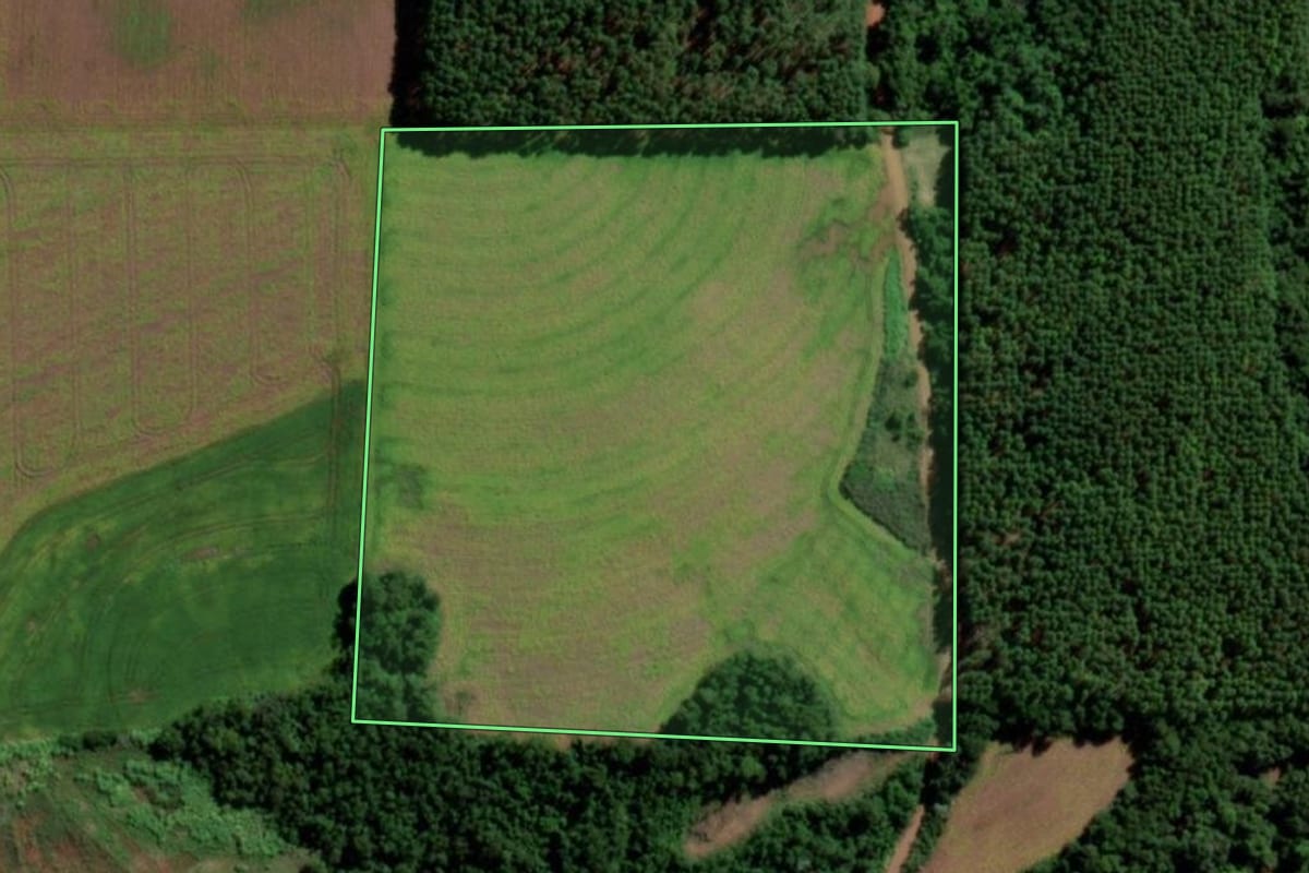 Imagem de satélite do imóvel rural em Guarani das Missões (RS), com o contorno declarado no CAR desenhado por cima.