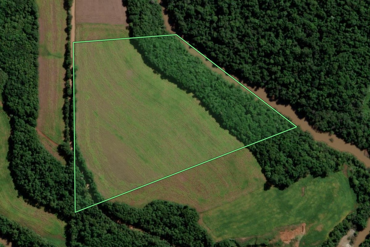 Imagem de satélite do imóvel rural em Guarani das Missões (RS), com o contorno declarado no CAR desenhado por cima.