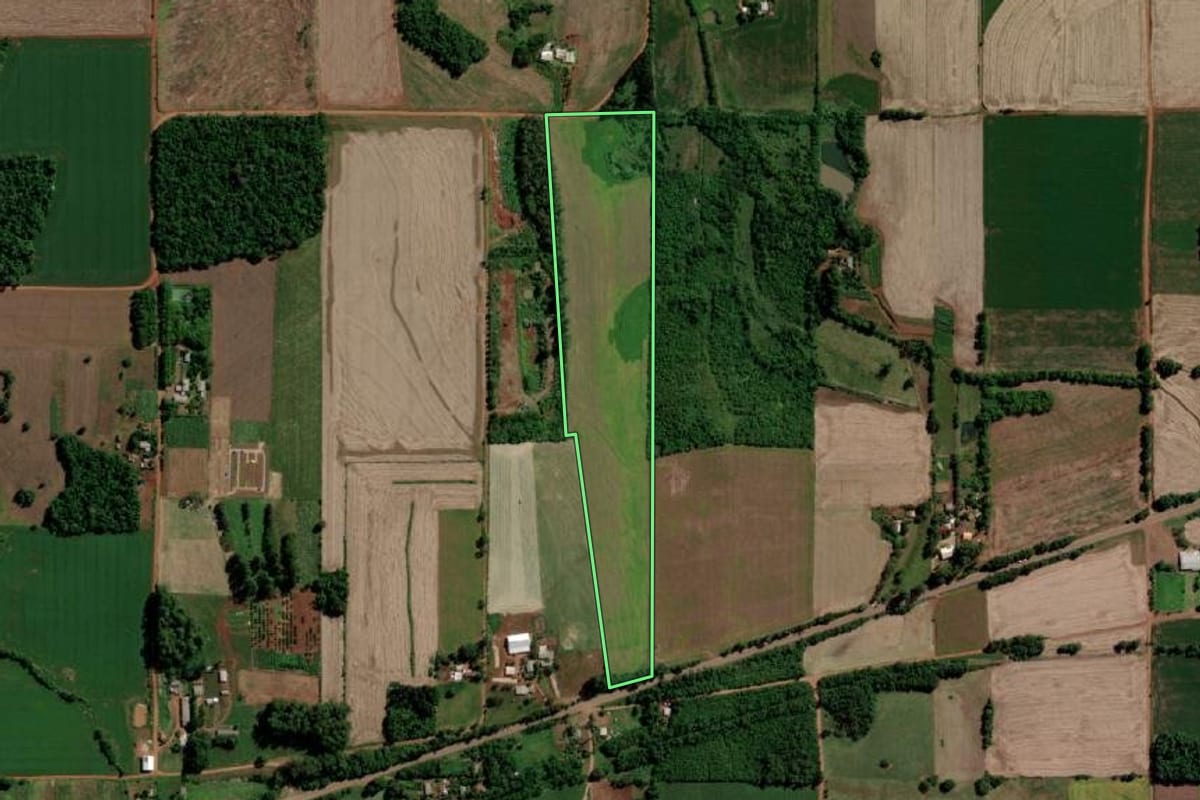 Imagem de satélite do imóvel rural em Guarani das Missões (RS), com o contorno declarado no CAR desenhado por cima.